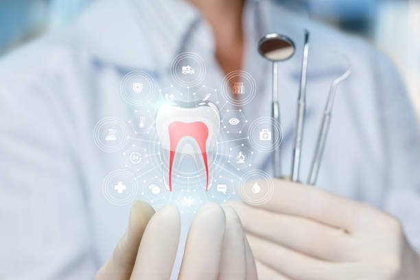 Trusted Macon, IL  Holistic Dental Services Experts